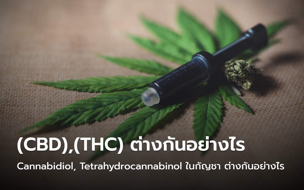 CBD THC