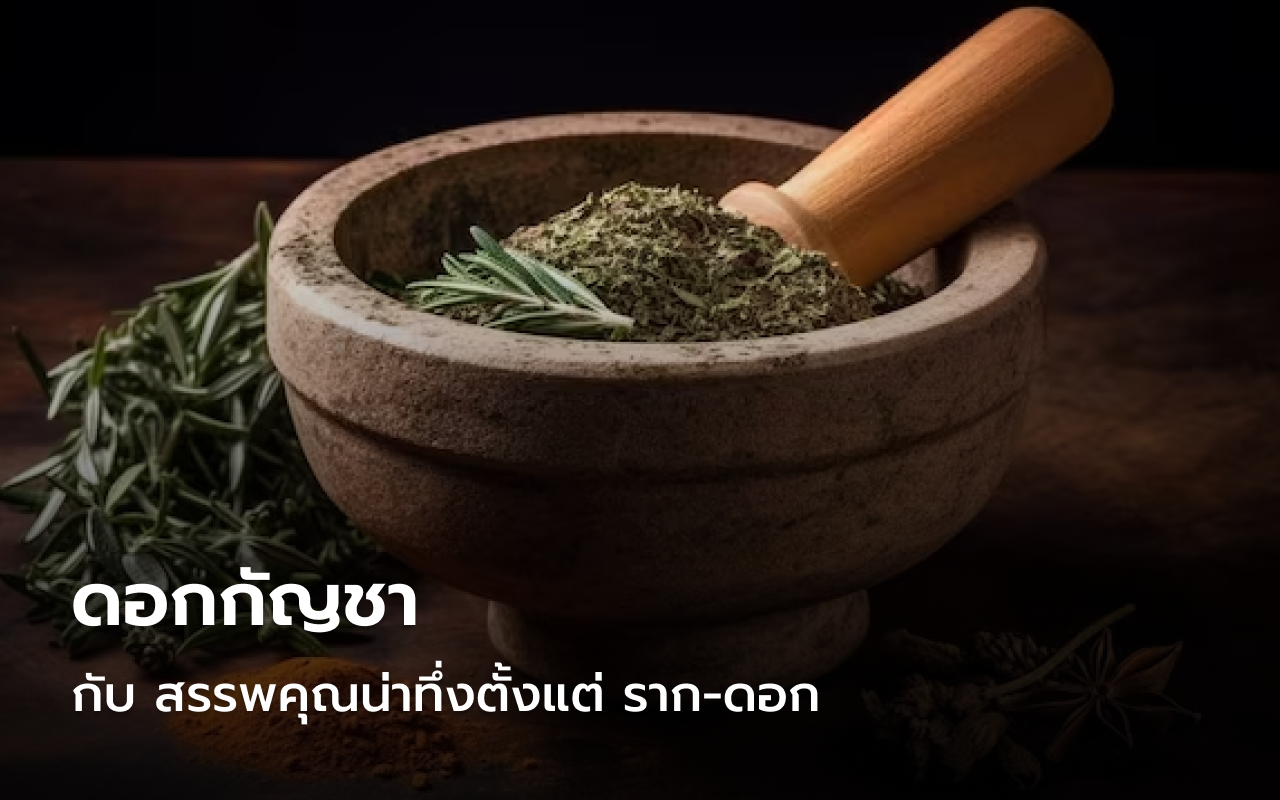 ดอกกัญชา