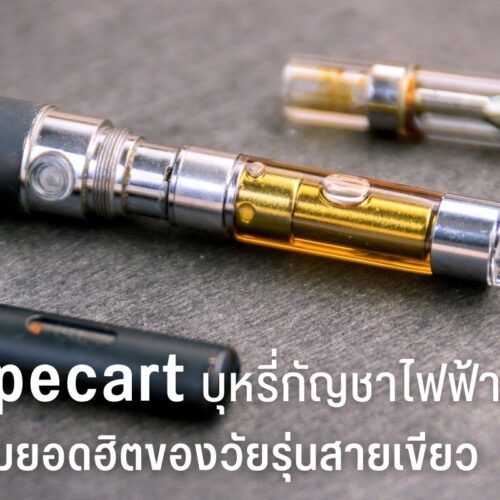 Vapecart บุหรี่กัญชาไฟฟ้า กัญชา ไอเท็มยอดฮิตของวัยรุ่นสายเขียว
